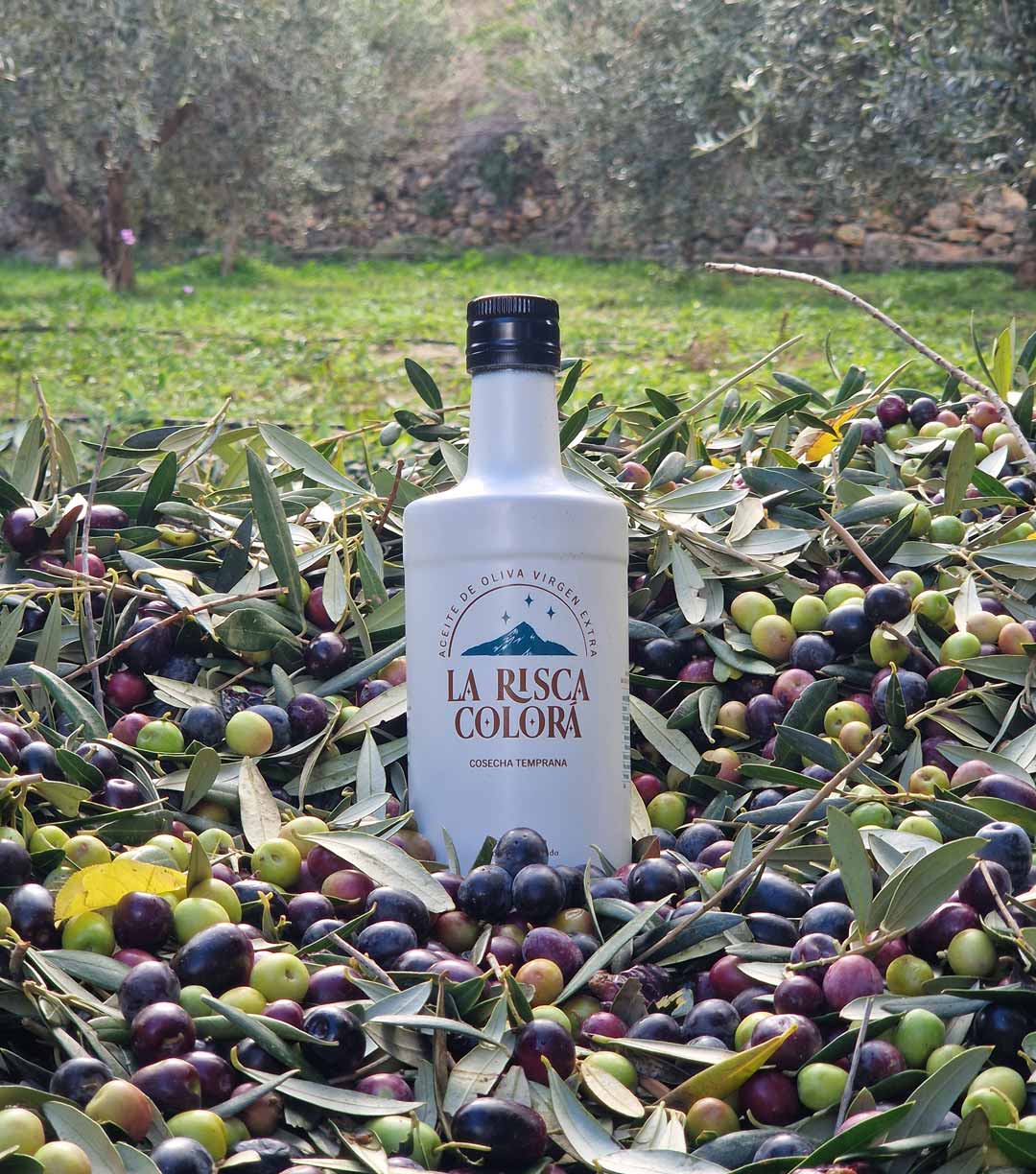main la risca colora 2